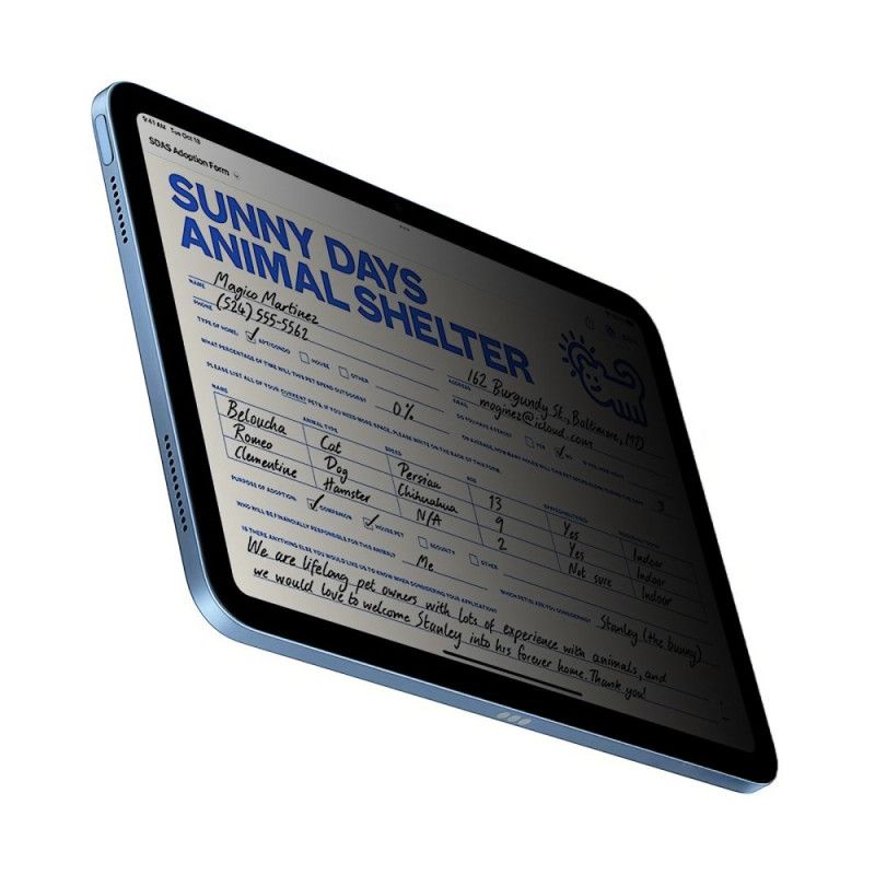 Anti-spionasjeskjermbeskytter I Herdet Glass For iPad (2025) / 10.9" (2022)